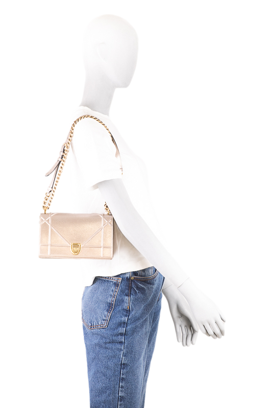 DESAPEGO LUIZA SOBRAL CHRISTIAN DIOR DIORAMA CHAMPAGNE