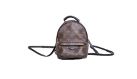 DESAPEGO JULIA FARIA LV BACKPACK PALM SPRINGS MINI MONOGRAM