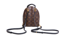 DESAPEGO JULIA FARIA LV BACKPACK PALM SPRINGS MINI MONOGRAM