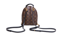 DESAPEGO JULIA FARIA LV BACKPACK PALM SPRINGS MINI MONOGRAM