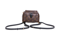 DESAPEGO JULIA FARIA LV BACKPACK PALM SPRINGS MINI MONOGRAM