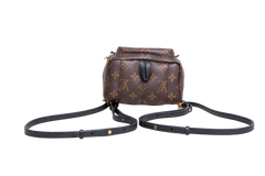 DESAPEGO JULIA FARIA LV BACKPACK PALM SPRINGS MINI MONOGRAM