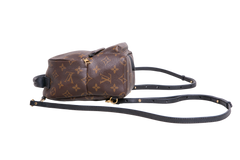 DESAPEGO JULIA FARIA LV BACKPACK PALM SPRINGS MINI MONOGRAM