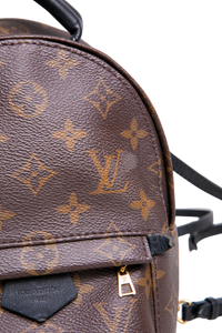 DESAPEGO JULIA FARIA LV BACKPACK PALM SPRINGS MINI MONOGRAM