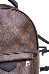 DESAPEGO JULIA FARIA LV BACKPACK PALM SPRINGS MINI MONOGRAM