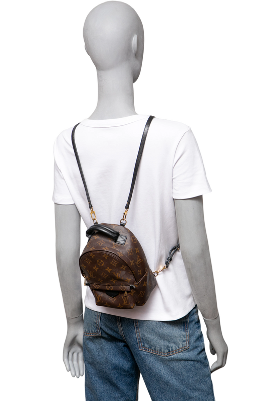 DESAPEGO JULIA FARIA LV BACKPACK PALM SPRINGS MINI MONOGRAM