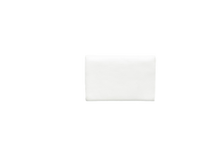 CHANEL WALLET DISTRESSED BI-FOLD COIN WHITE