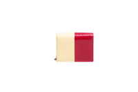 GUCCI ZUMI WALLET ON CHAIN PYTHON BICOLOR