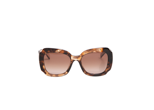 PRADA SQUARE ACETATE HAVANA