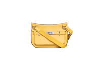 HERMÈS JYPSIERE MINI EVERCOLOR SUN PALLADIUM HDWR