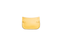 HERMÈS JYPSIERE MINI EVERCOLOR SUN PALLADIUM HDWR