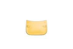 HERMÈS JYPSIERE MINI EVERCOLOR SUN PALLADIUM HDWR