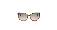 GUCCI CAT EYE BEE RADIANT BROWN ACETATE