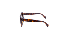 CELINE STELLA SQUARE ACETATE TORTOISE