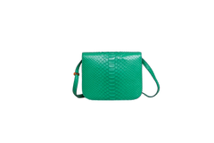 CELINE CLASSIC BOX MEDIUM PYTHON GREEN