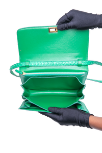 CELINE CLASSIC BOX MEDIUM PYTHON GREEN