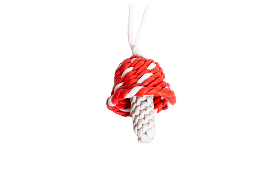 BOTTEGA MUSHROOM CHARM LEATHER TULIP/CHALK