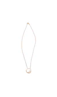 TIFFANY & CO. PENDANT VINE CIRCLE DIAMOND GOLD