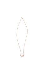 TIFFANY & CO. PENDANT VINE CIRCLE DIAMOND GOLD
