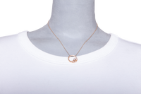 TIFFANY & CO. PENDANT VINE CIRCLE DIAMOND GOLD