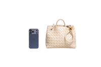 BOTTEGA ANDIAMO SMALL INTRECCIATO CREAM
