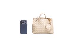 BOTTEGA ANDIAMO SMALL INTRECCIATO CREAM