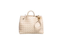 BOTTEGA ANDIAMO SMALL INTRECCIATO CREAM