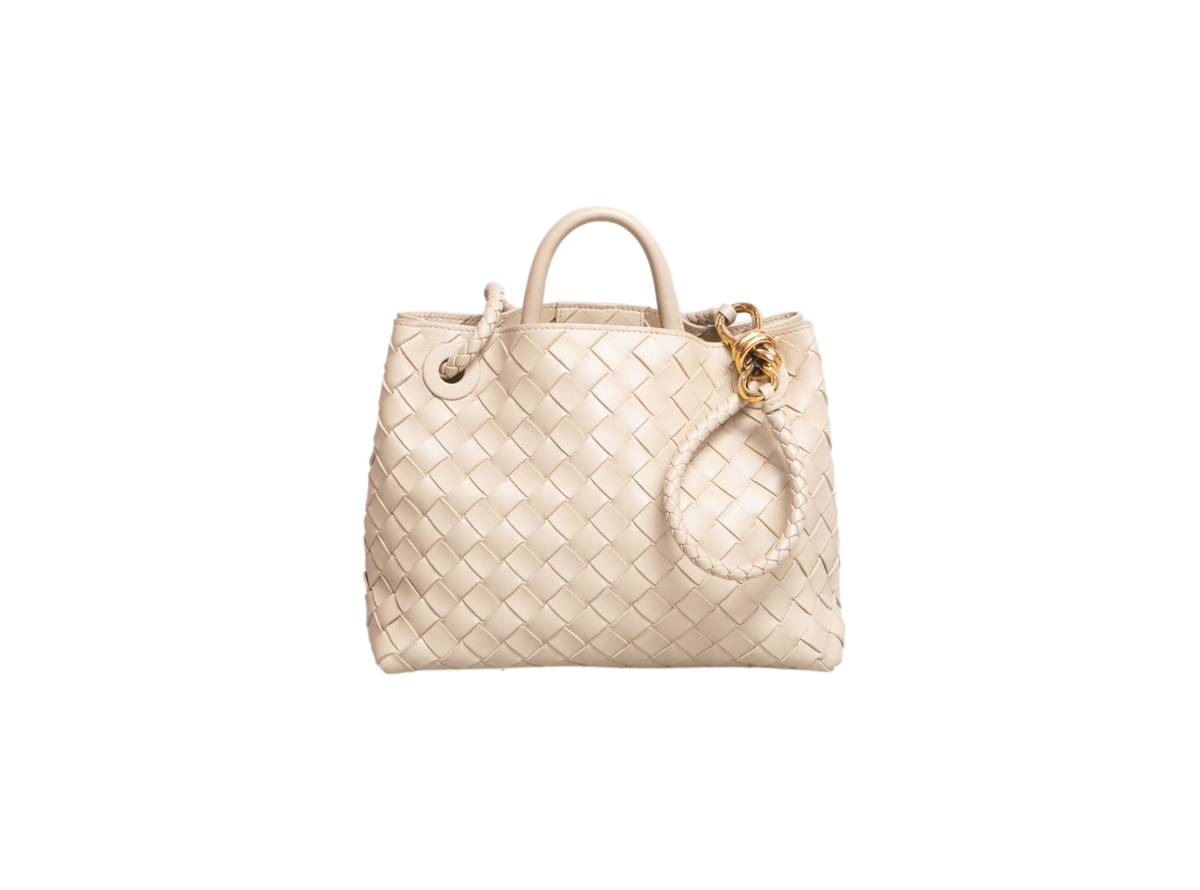 BOTTEGA ANDIAMO SMALL INTRECCIATO CREAM