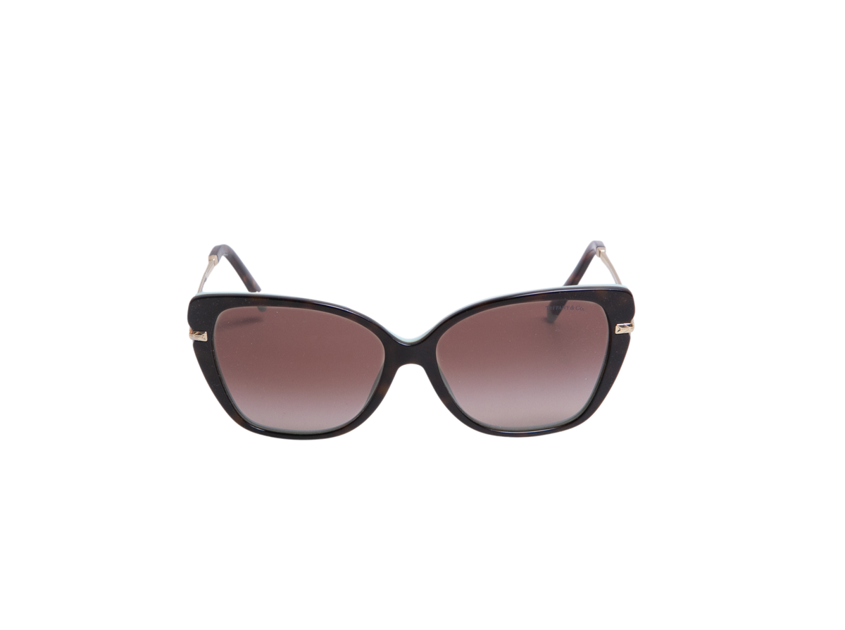 TIFFANY CATEYE ROD METAL TEXTURED TORTOISE/BLUE GRADIENT