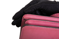 GUCCI SMALL 1973 LEATHER PINK