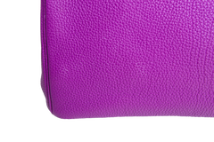 HERMÈS BIRKIN 30 CLÉMENCE ANÉMONE