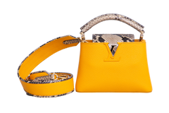 LV CAPUCINES BB PYTHON