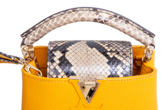 LV CAPUCINES BB PYTHON