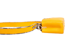 LV CAPUCINES BB PYTHON