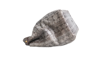 FENDI PEEKABOO LARGE PYTHON LIGHT GRAY