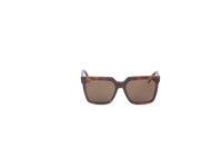 CELINE SQUARE POLARIZED OVERSIZED TURTLE