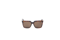 CELINE SQUARE POLARIZED OVERSIZED TURTLE
