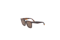 CELINE SQUARE POLARIZED OVERSIZED TURTLE
