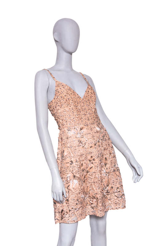 DESAPEGO FABI JUSTUS VALENTINO FLORAL LACE EMBROIDERY MIDI SLIP DRESS ROSE
