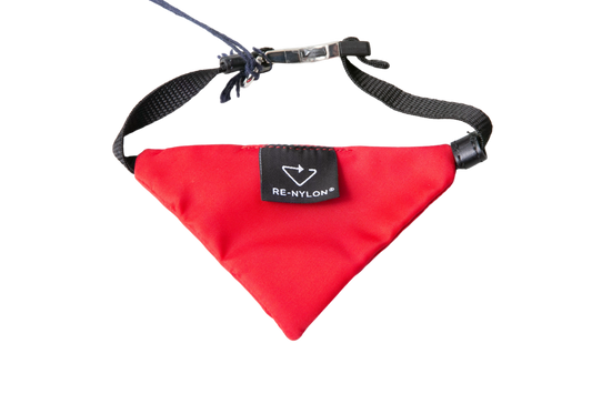 PRADA COLLAR DOG RE-NYLON RED