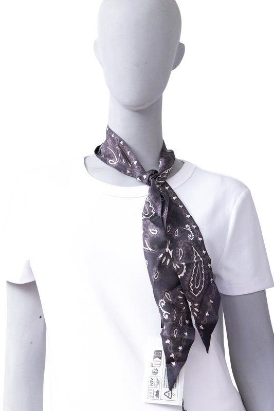 GOLDEN GOOSE TWILLY SEDA PAISLEY GREY