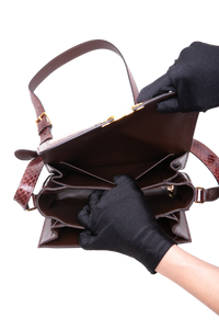 CELINE TRIOMPHE MEDIUM CANVAS WITH SNAKESKIN BROWN