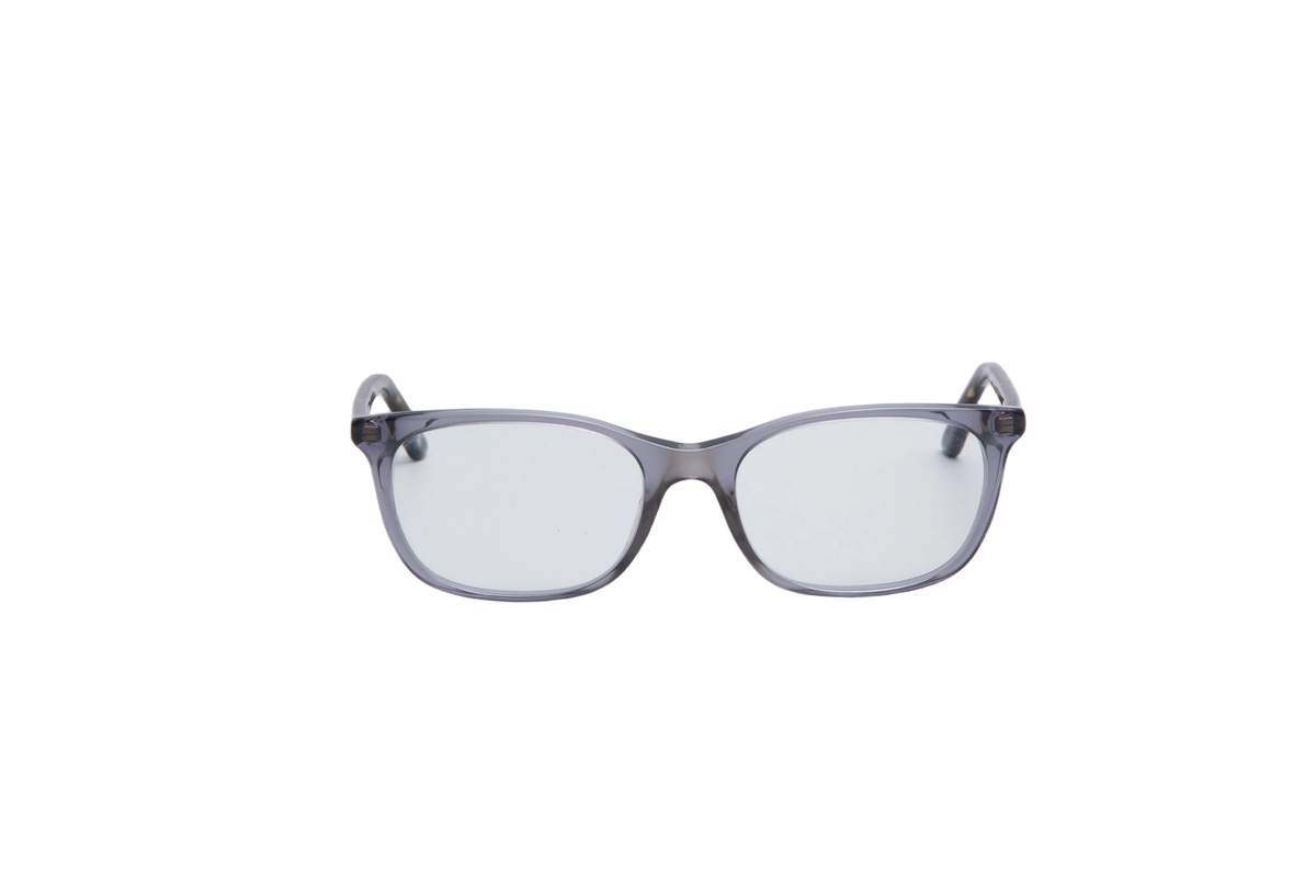 DIOR MONTAIGNE TRANSPARENT & TORTOISE
