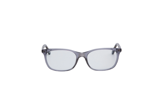 DIOR MONTAIGNE TRANSPARENT & TORTOISE