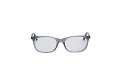 DIOR MONTAIGNE TRANSPARENT & TORTOISE
