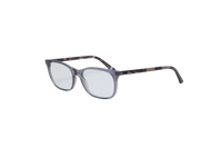 DIOR MONTAIGNE TRANSPARENT & TORTOISE