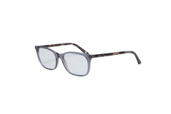 DIOR MONTAIGNE TRANSPARENT & TORTOISE