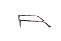 DIOR MONTAIGNE TRANSPARENT & TORTOISE