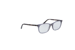 DIOR MONTAIGNE TRANSPARENT & TORTOISE