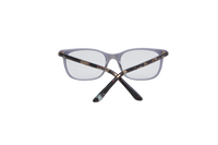 DIOR MONTAIGNE TRANSPARENT & TORTOISE